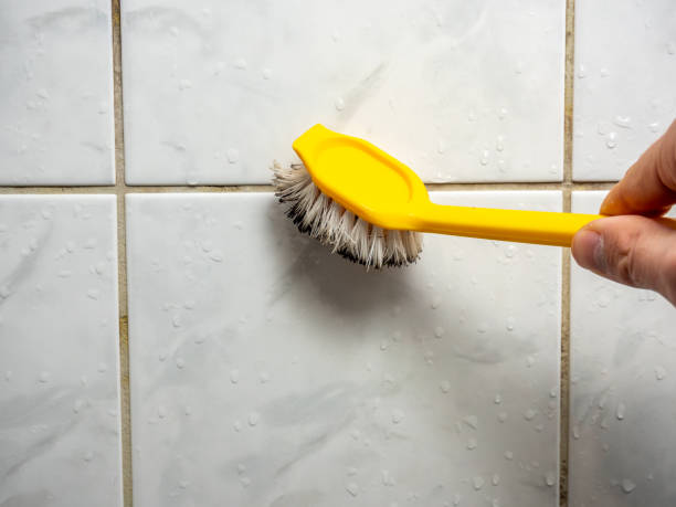 Best Attic Mold Removal  in Columbia, MO